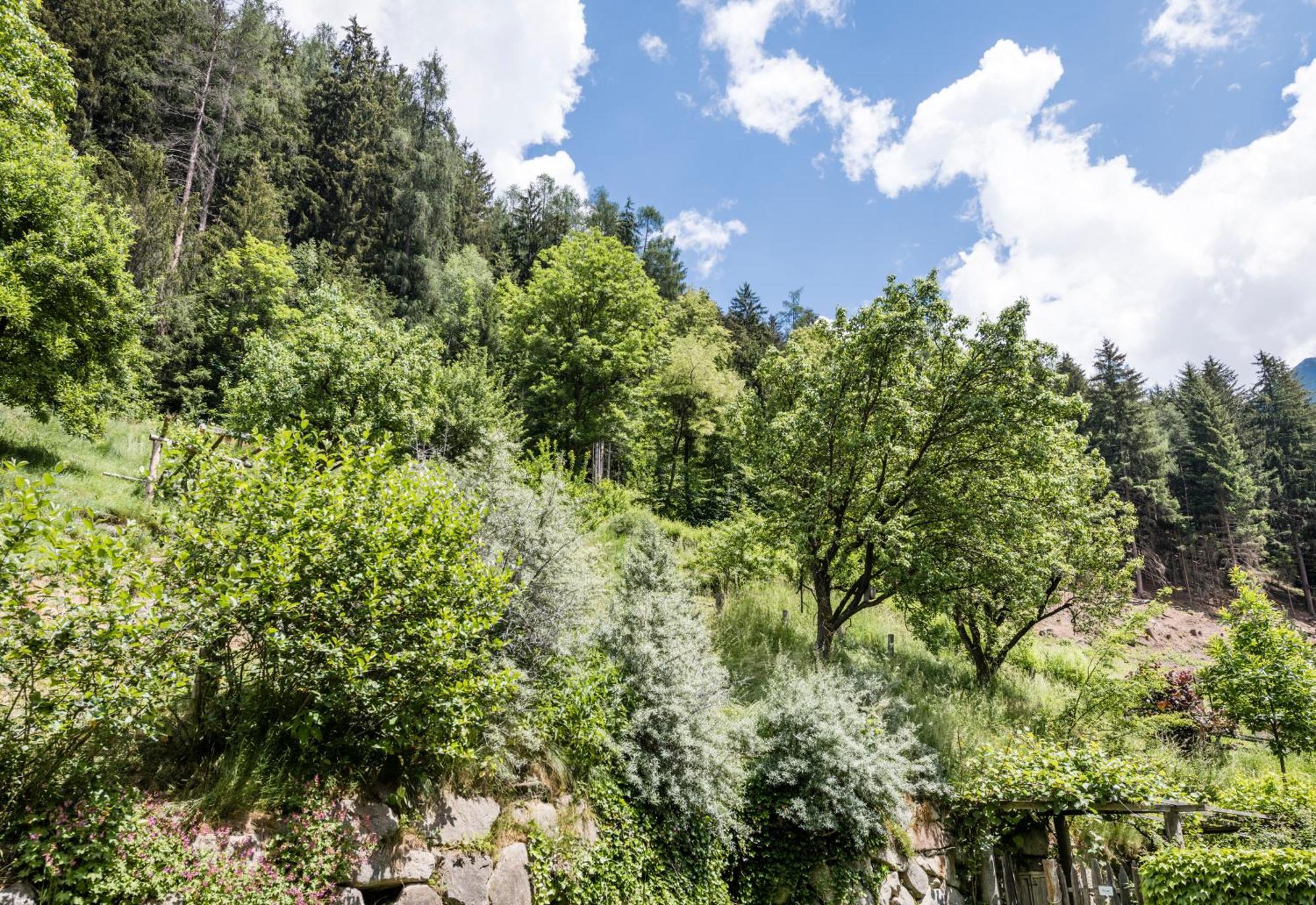Naturresidenz Mair Zu Hof Campo Tures Buitenkant foto